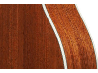 Ibanez AC390CE-NT Ibanez AC390CE-NT